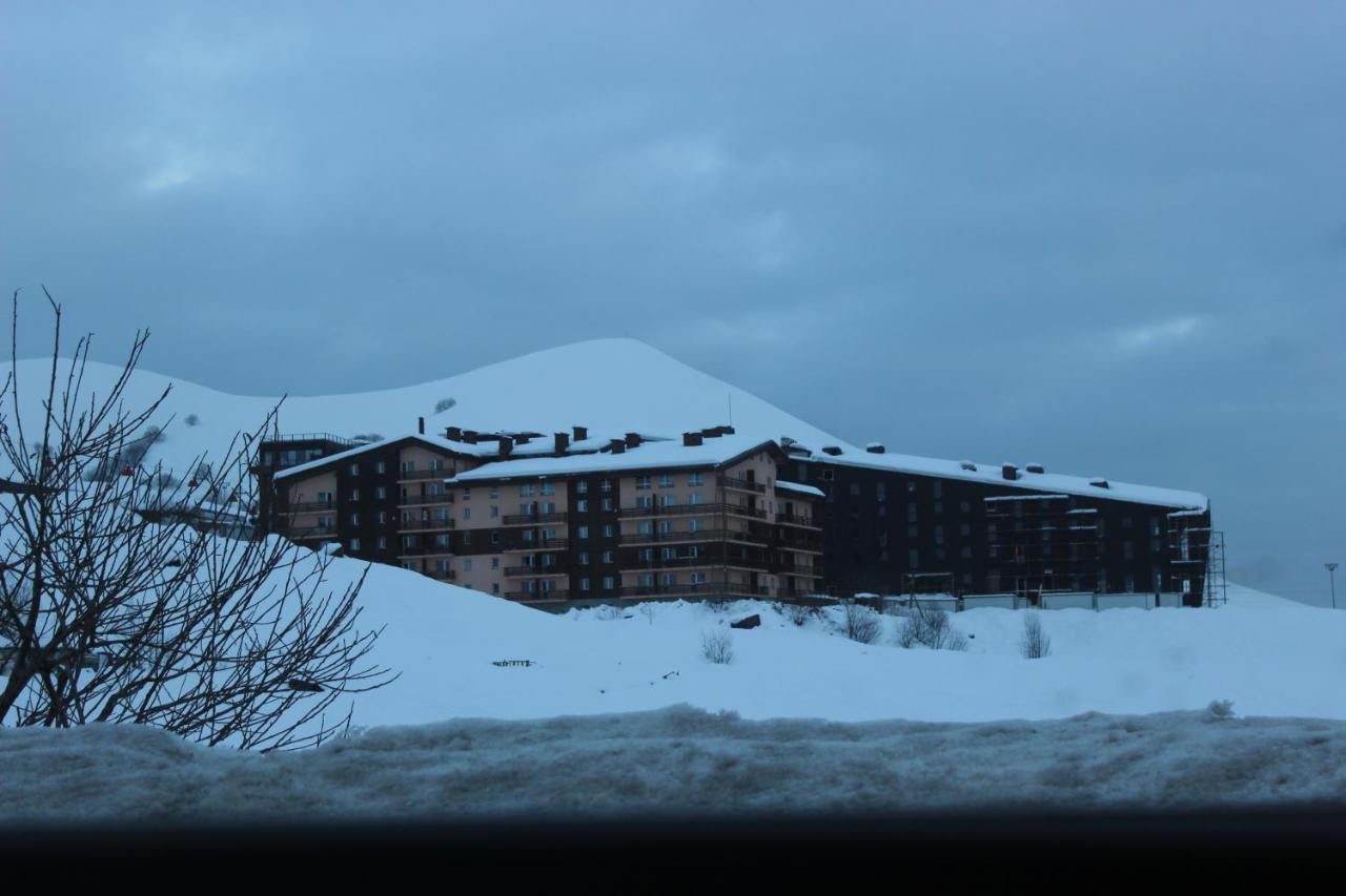Royal'S Apartment Gudauri Exterior photo